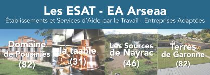ESAT & EA de l'Arseaa